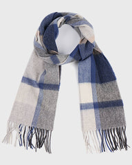 A gray and blue plaid winter scarf featuring a classic blue and white checkered pattern, elegantly draped.